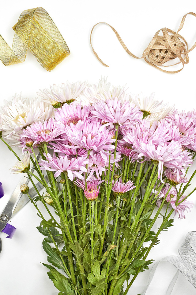 Букет розовых цветов хризантемы с ленточками на белом фоне