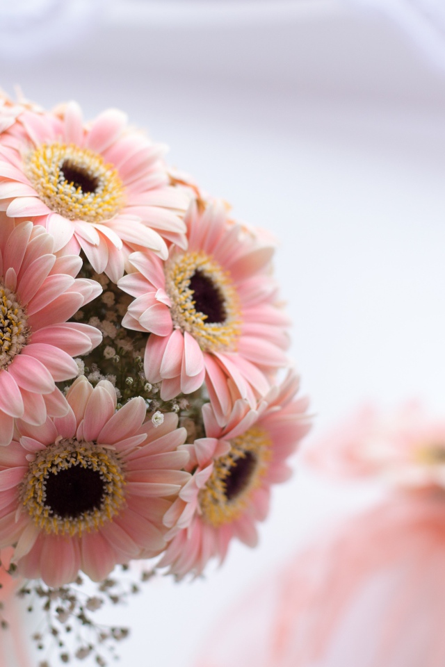 Букет розовых цветов герберы на столе