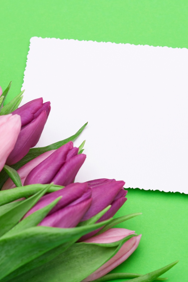 Букет розовых тюльпанов с белым листом бумаги на зеленом фоне
