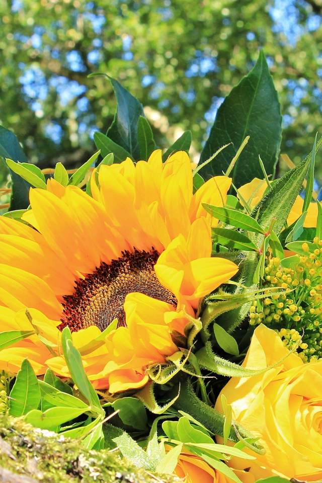 Букет цветов подсолнуха и желтой розы