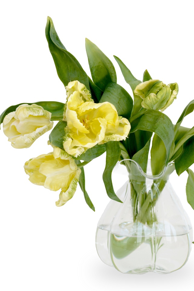 Букет необычных желтых тюльпанов в стеклянной вазе