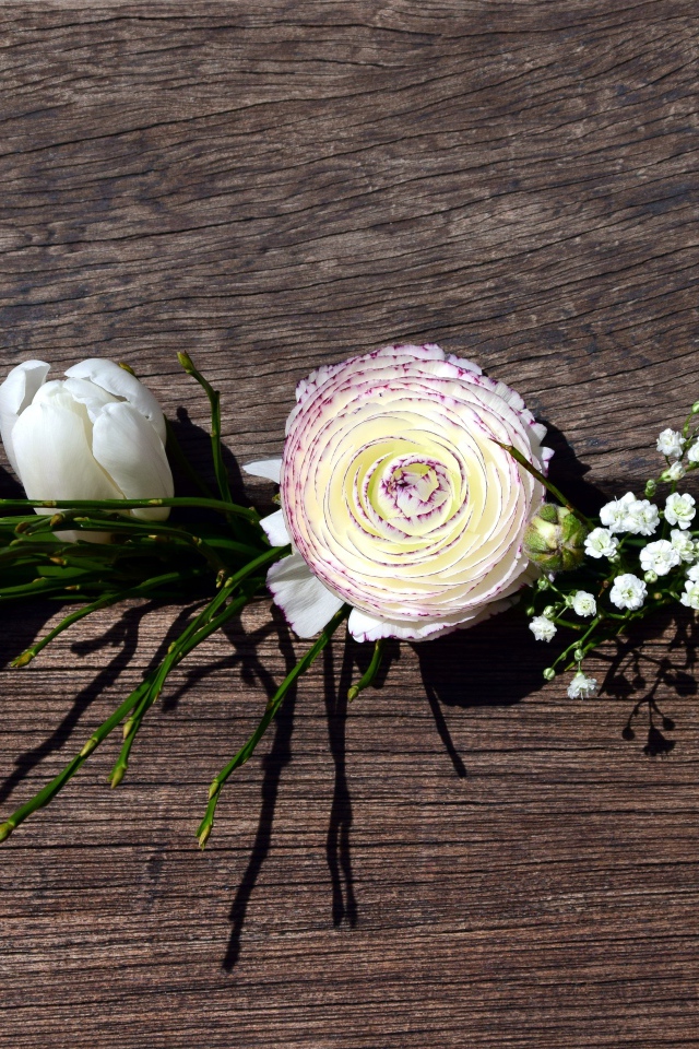 Цветы лютика, тюльпана и гипсофилы в ящике