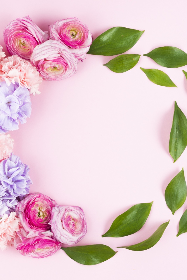 Цветы гвоздики и лютика с зелеными листьями на розовом фоне