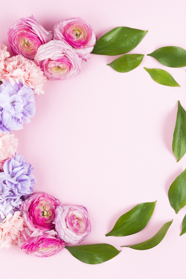 Гвоздики с лютиками и зелеными листьями на розовом фоне