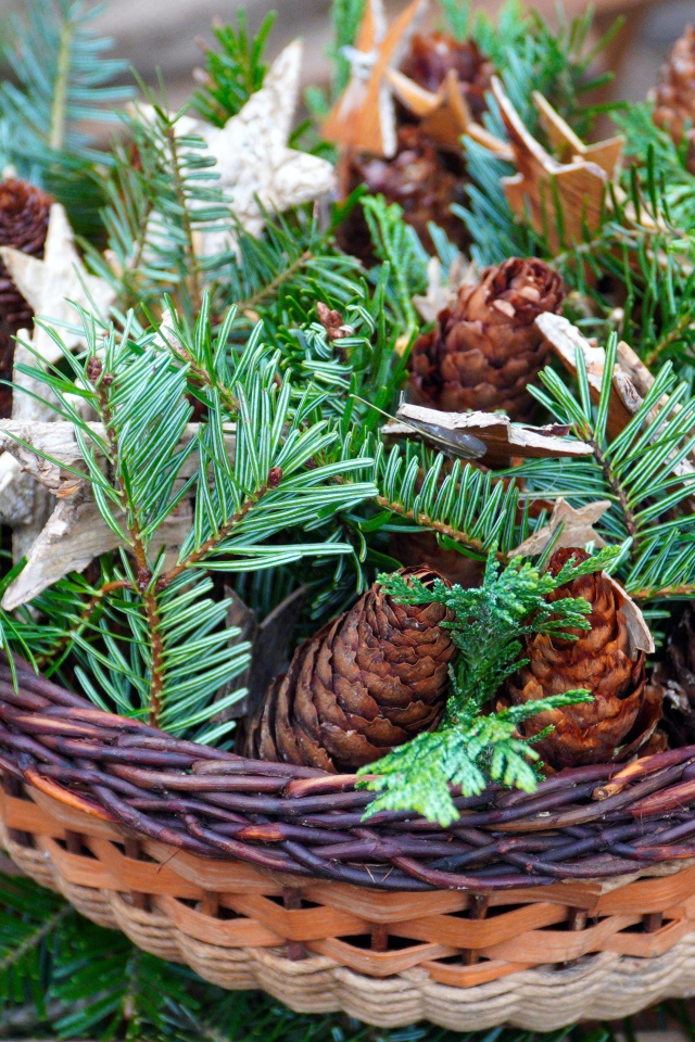 Шишки с ветками ели в корзине 