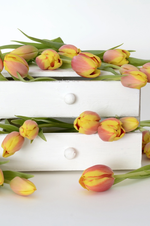 Оранжевые тюльпаны в ящике на фоне белой стены