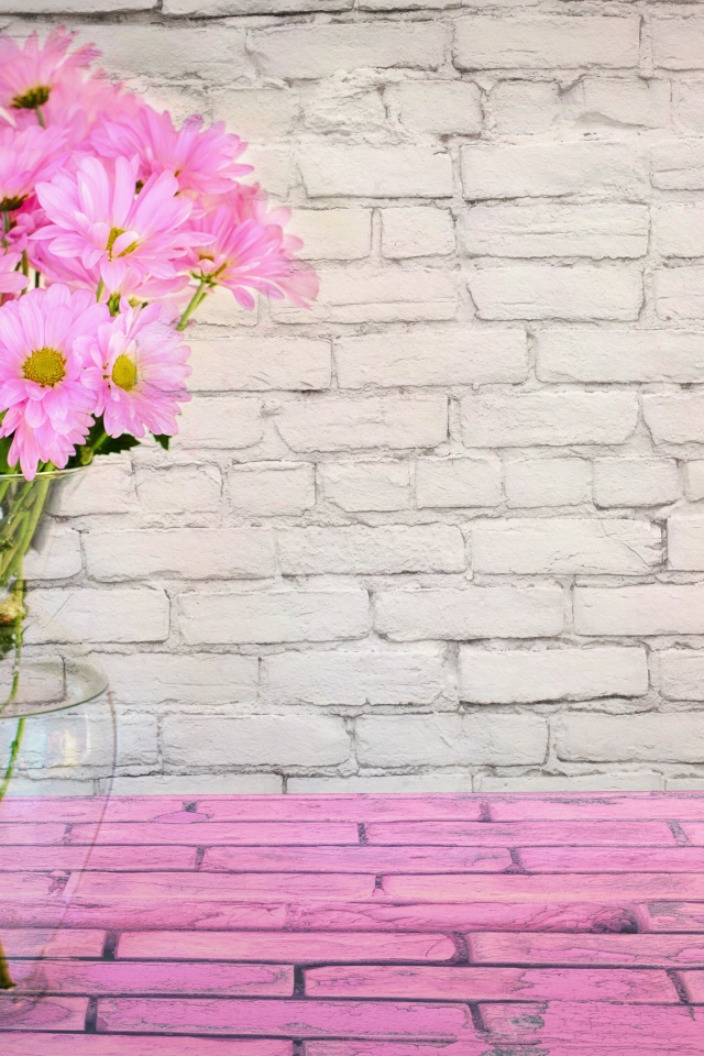 Розовые цветы хризантемы в стеклянной вазе на фоне стены