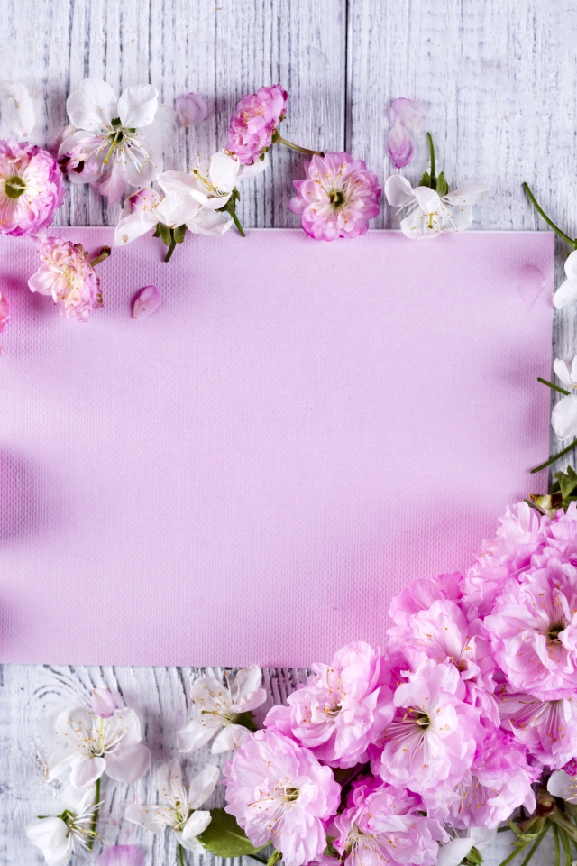 Розовые цветы луизеания и цветы вишни на столе с листом