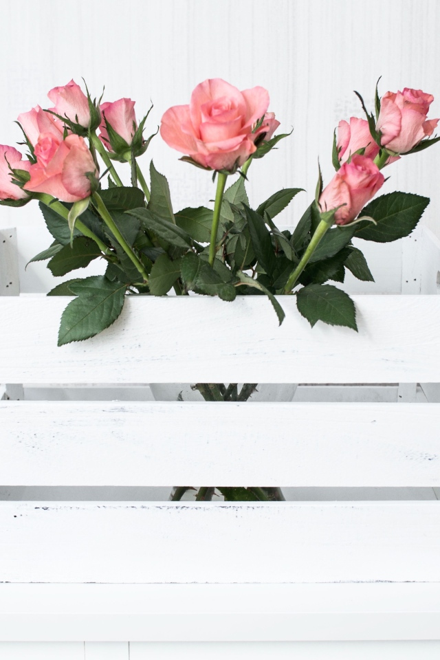 Розовые розы в белом деревянном ящике