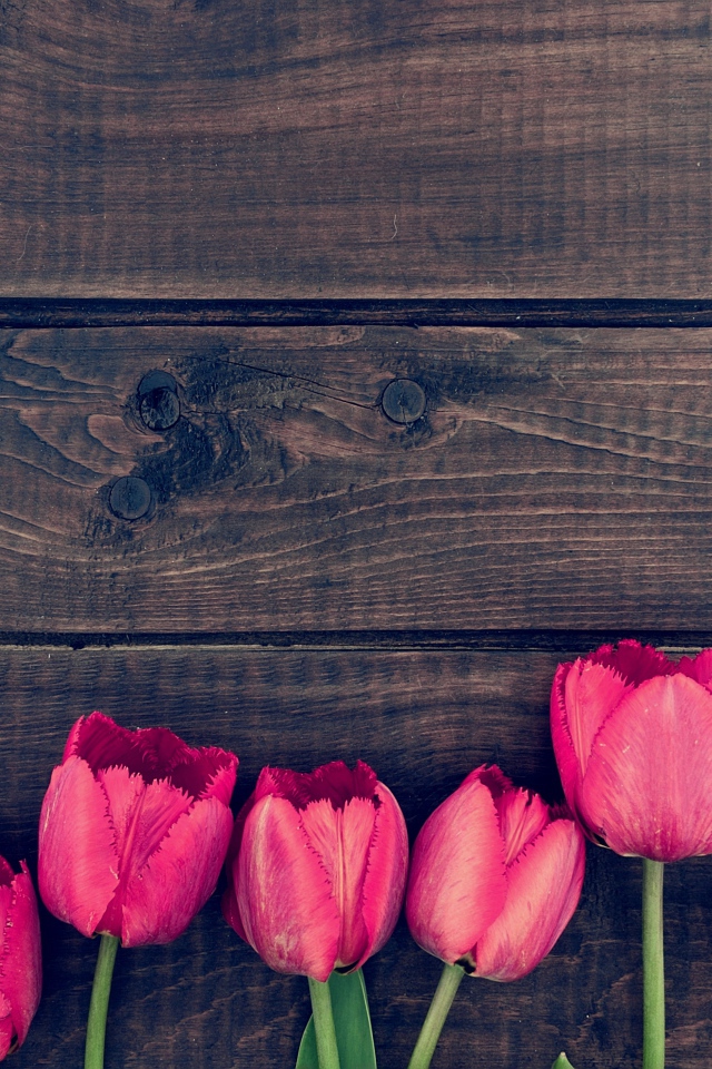 Розовые цветы тюльпана на деревянном столе 