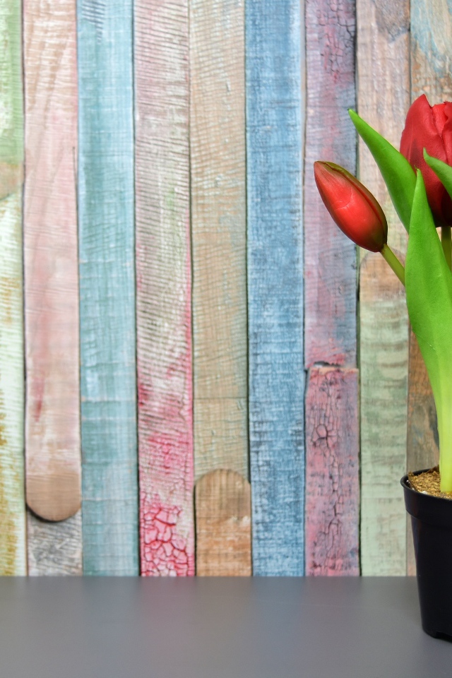 Красные цветы тюльпана в горшке на столе