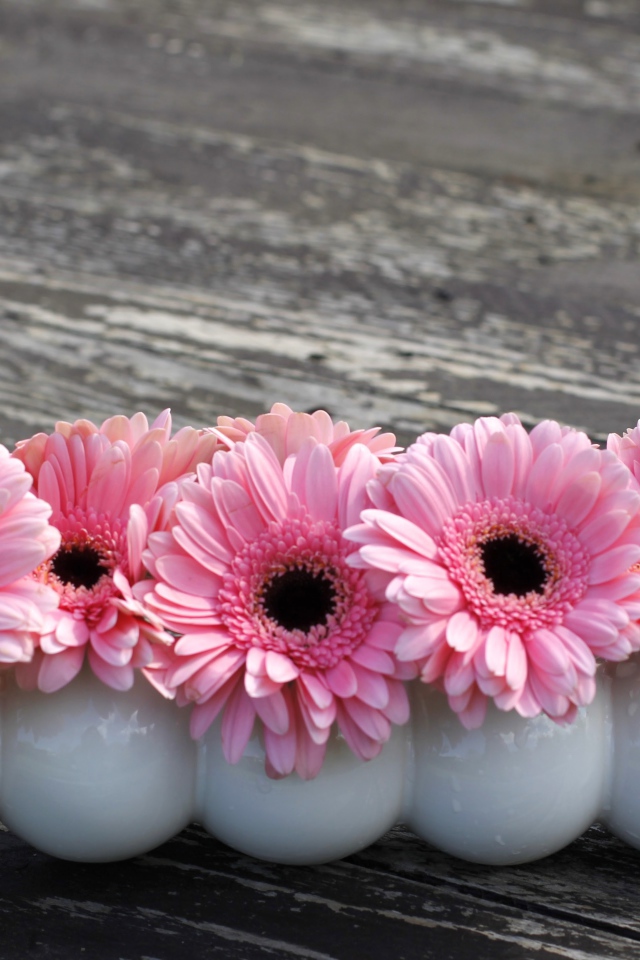 Маленькие розовые цветы герберы в белых вазах
