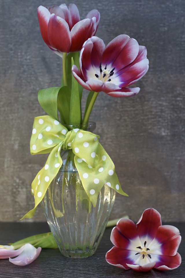 Три розовых цветка тюльпана в стеклянной вазе у стены