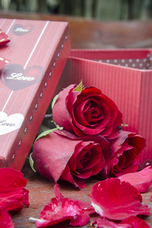 Три красные розы с лепестками  на столе с подарком