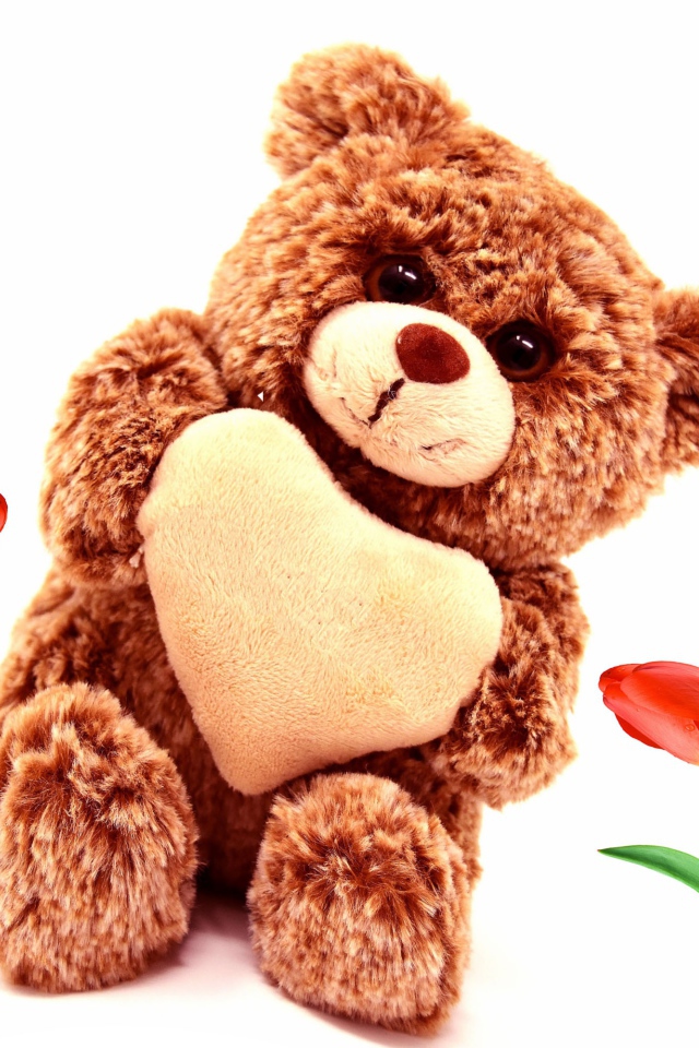 Игрушка медвежонок с красными тюльпанами на белом фоне