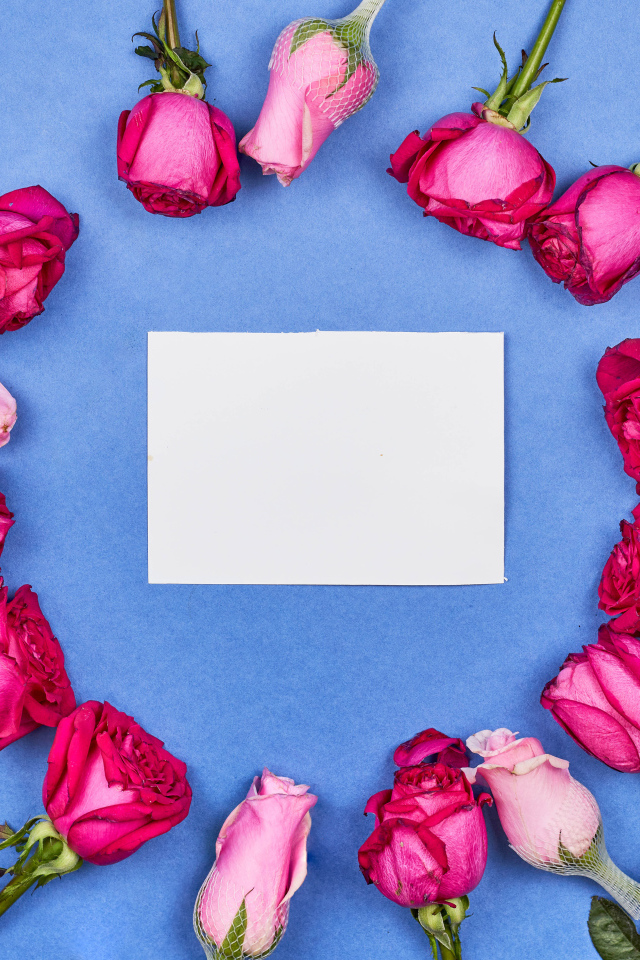 Белый лист бумаги с розами на голубом фоне