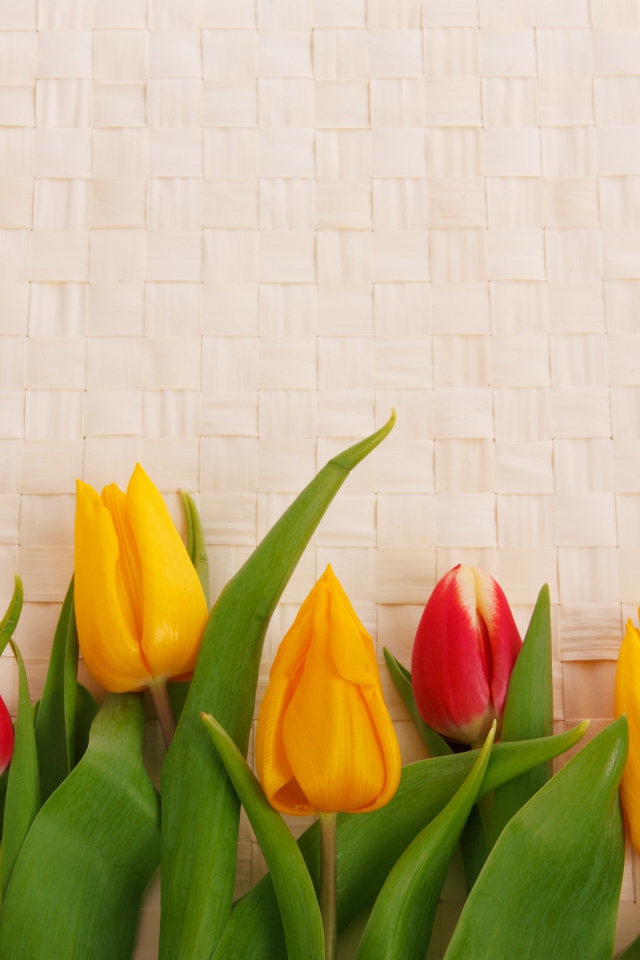 Желтые и красные тюльпаны на плетеном фоне