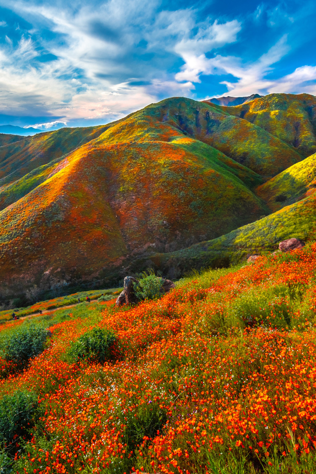 Красивая разноцветная гора под красивым голубым небом 