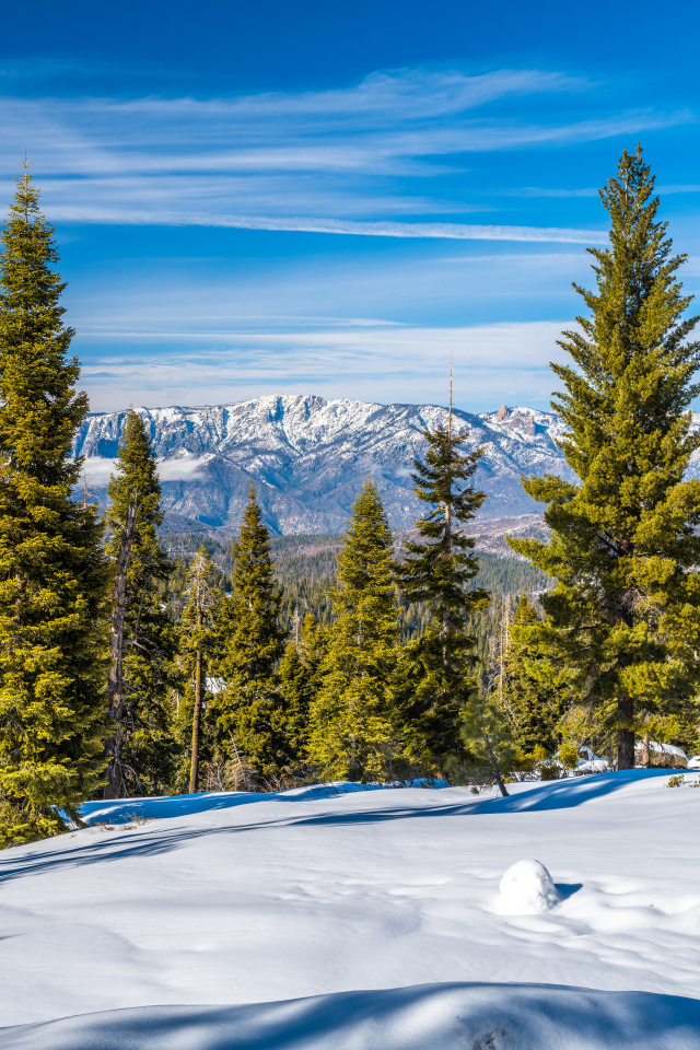 Красивый зимний вид на горы и зеленые ели под голубым небом