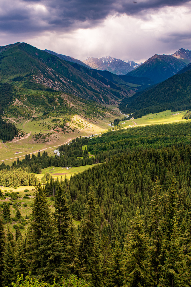 Зеленые ели покрывают высокие горы 