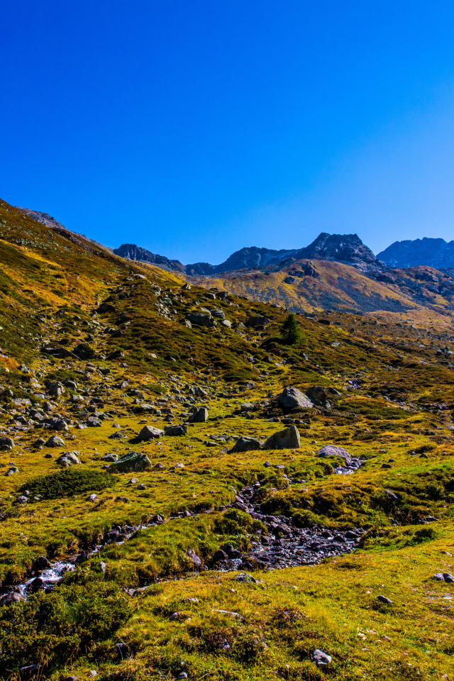 Зеленая трава на склоне горы под голубым небом 