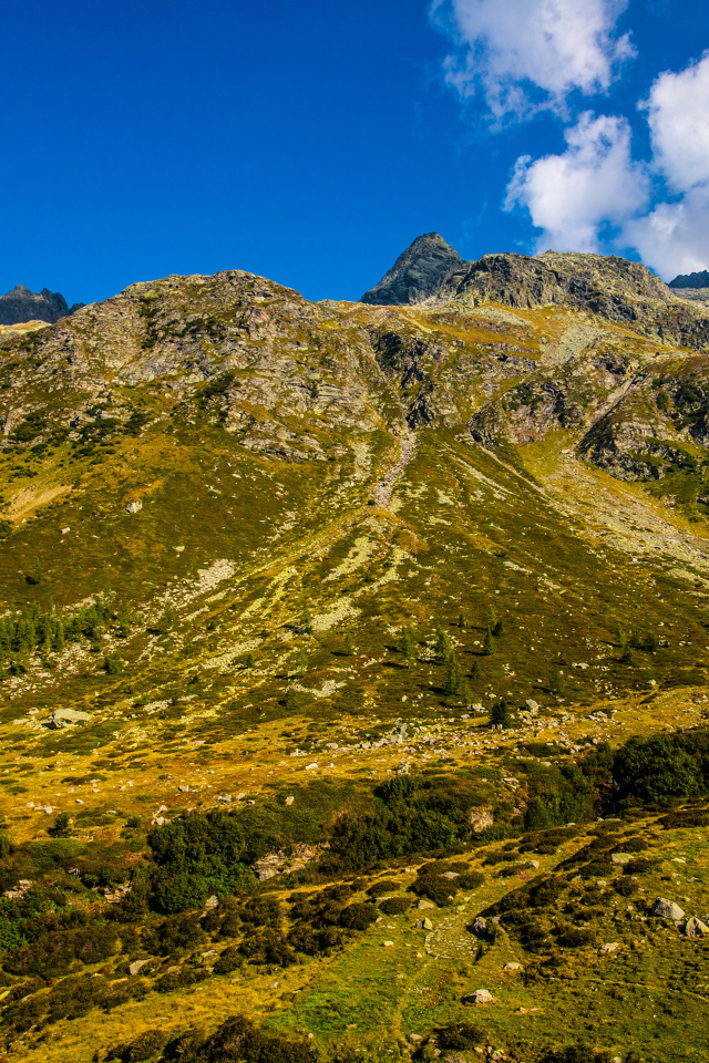 Покрытые зеленью Швейцарские альпы под голубым небом