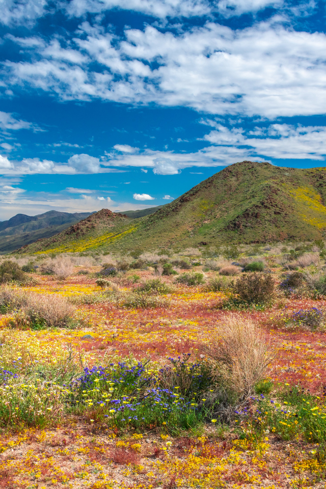Высокие горы в национальном парке под голубым небом