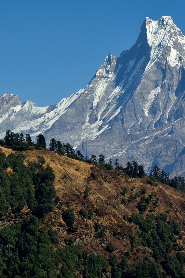 Красивый вид на острую заснеженную вершину горы