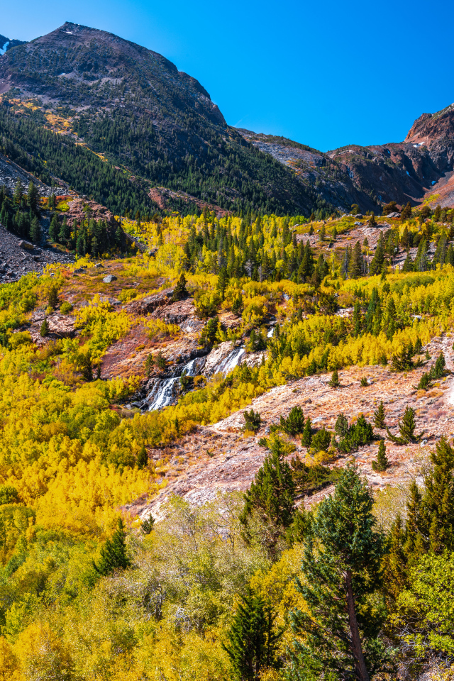 Вид на живописный каньон в США 