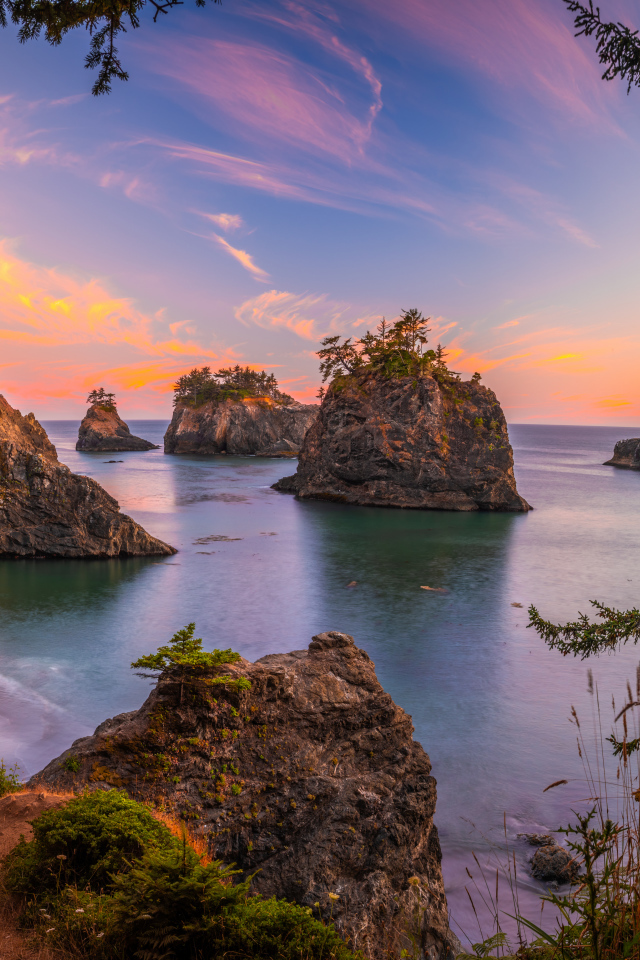 Каменные глыбы с деревьями на побережье в воде 