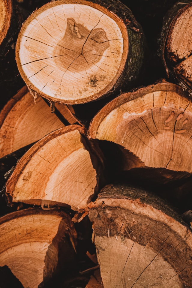 Рубленные дрова крупным планом