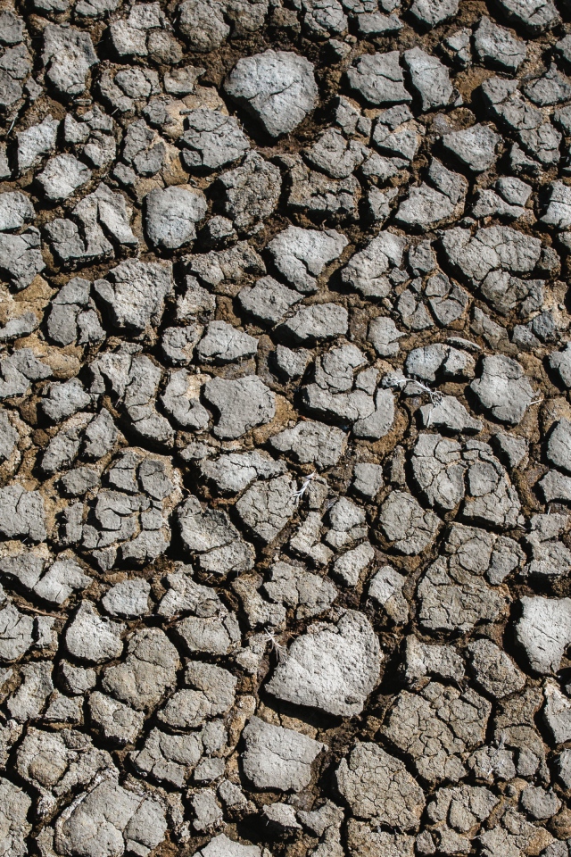 Потрескавшаяся после засухи земля 
