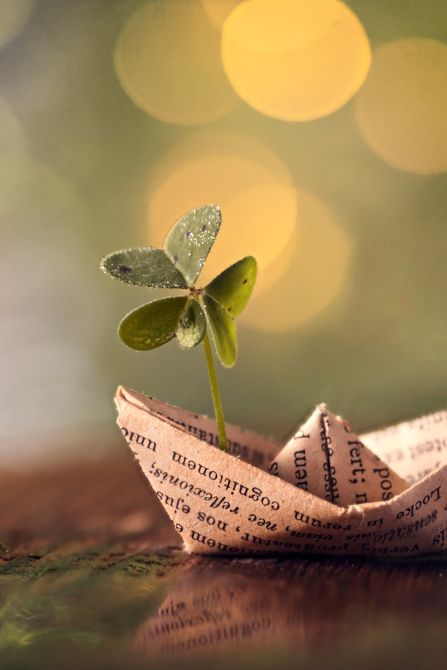 Бумажный кораблик с зеленым листом клевера