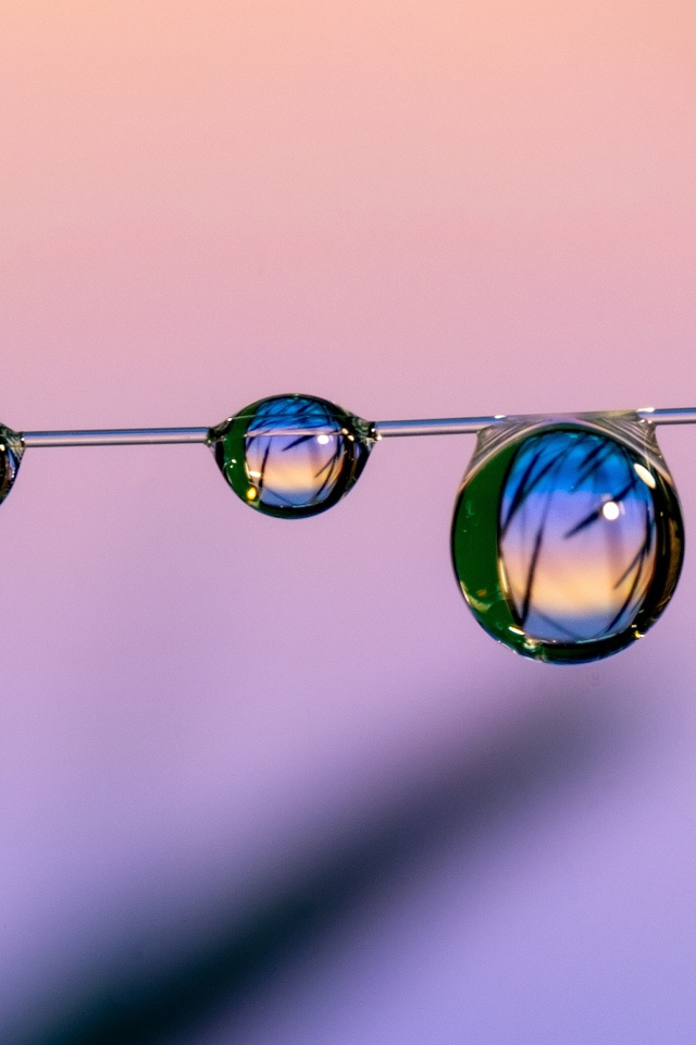 Капли воды на тонкой леске на розовом фоне