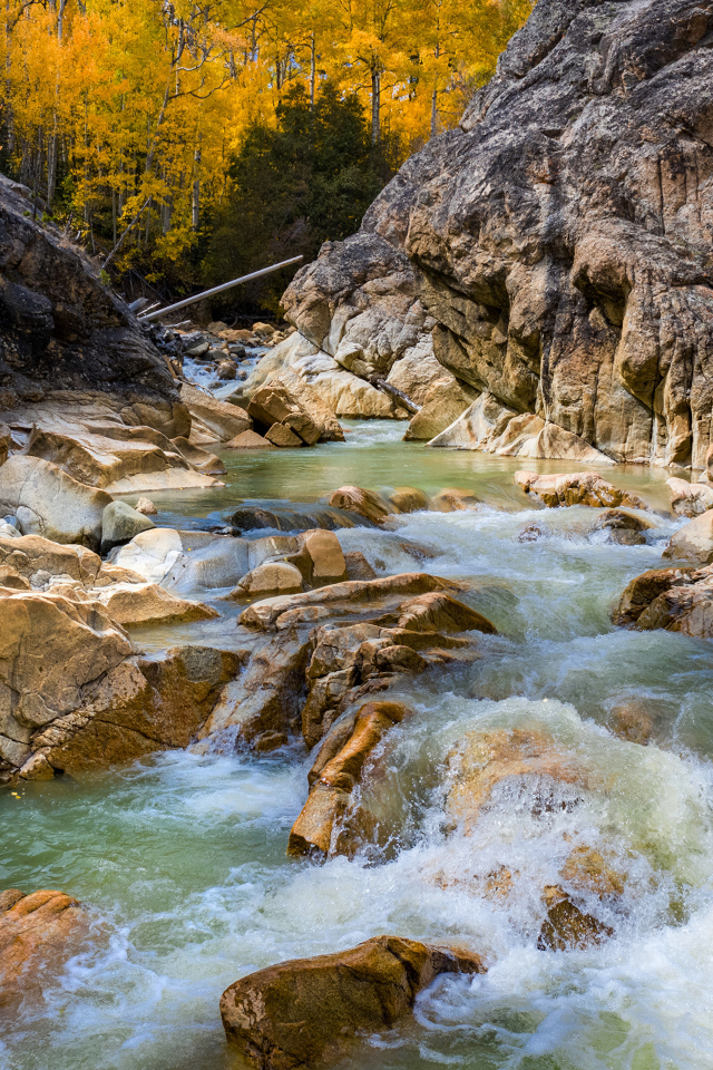 Быстрая холодная горная река бежит по камням