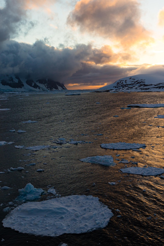 Льдины в воде у покрытых снегом гор в тумане