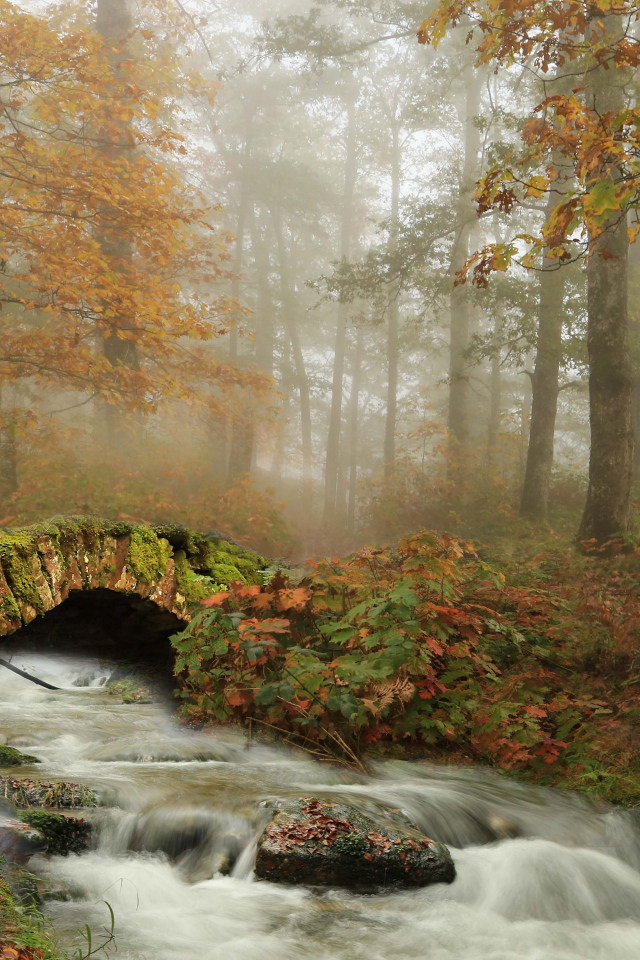 Старый каменный мост через ручей в осеннем лесу 