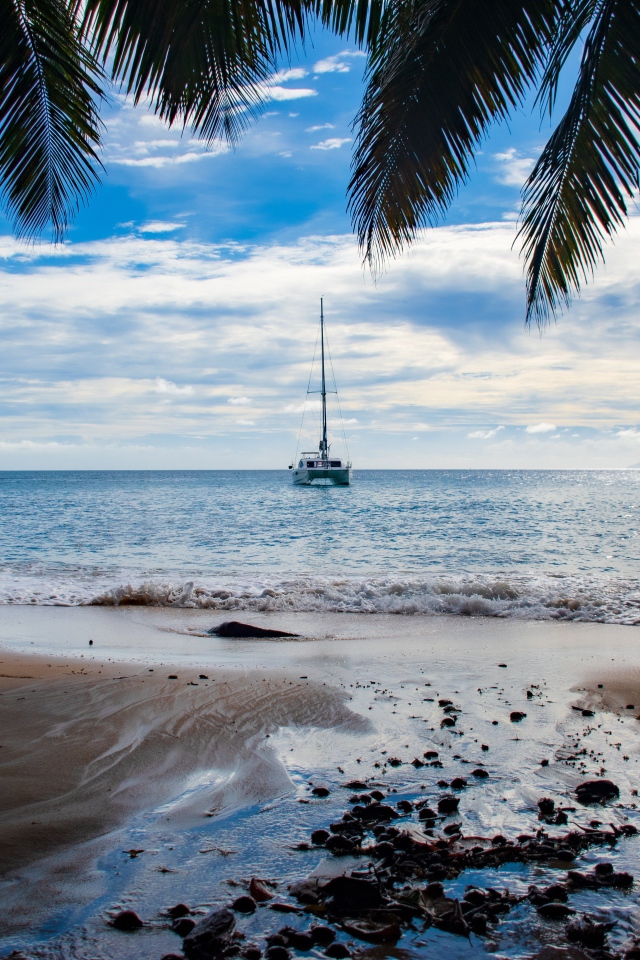 Красивый вид на море с тропического пляжа