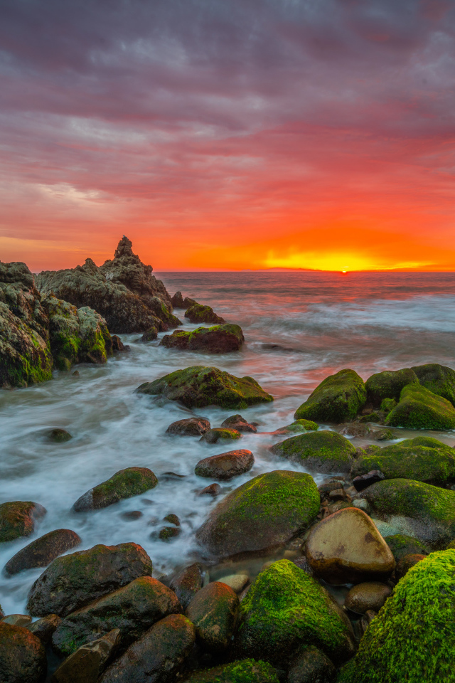 Покрытые зеленым мхом камни на берегу моря