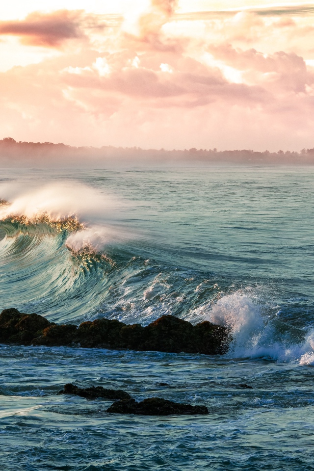 Волны на берегу океана в тумане 
