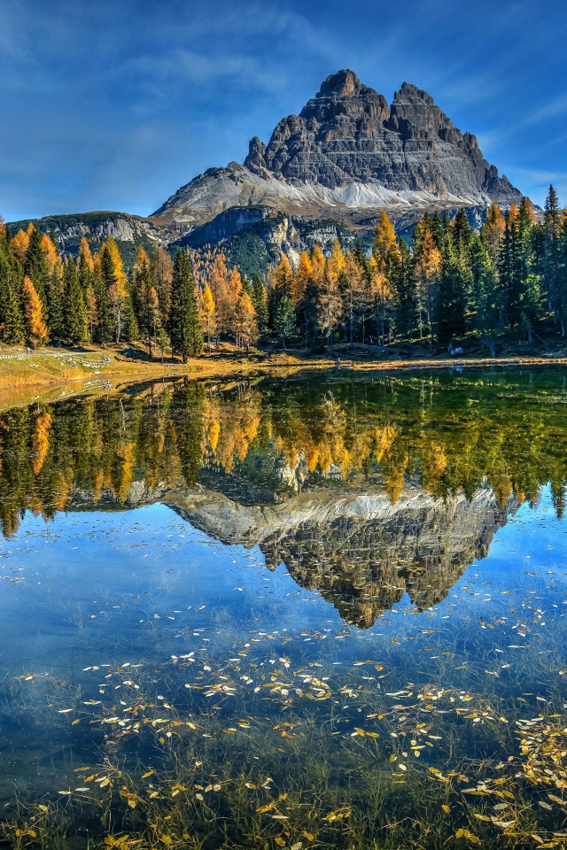Осень окрасила лес у горного озера 