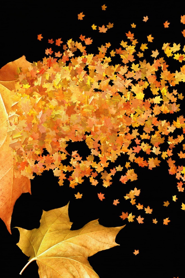 Большие и маленькие желтые листья на черном фоне осенью 