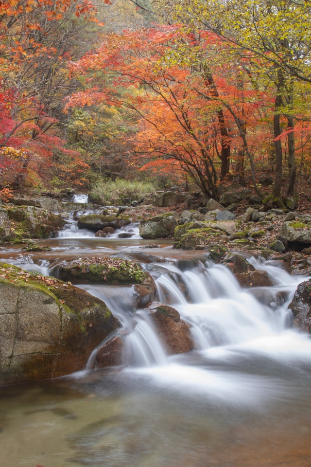 Быстрая вода реки стекает по камням в осеннем лесу 