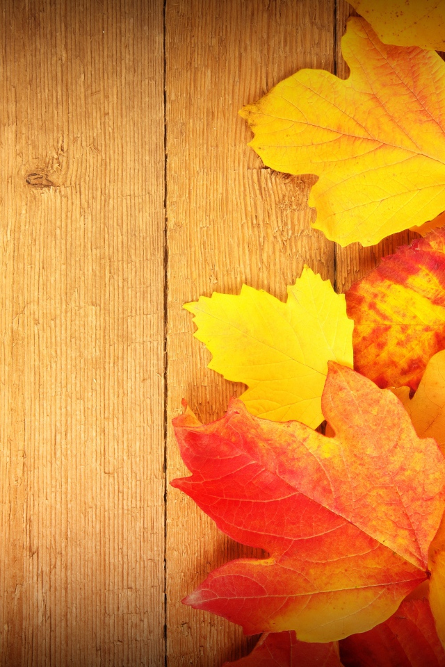 Желтые яркие  осенние листья на деревянном фоне