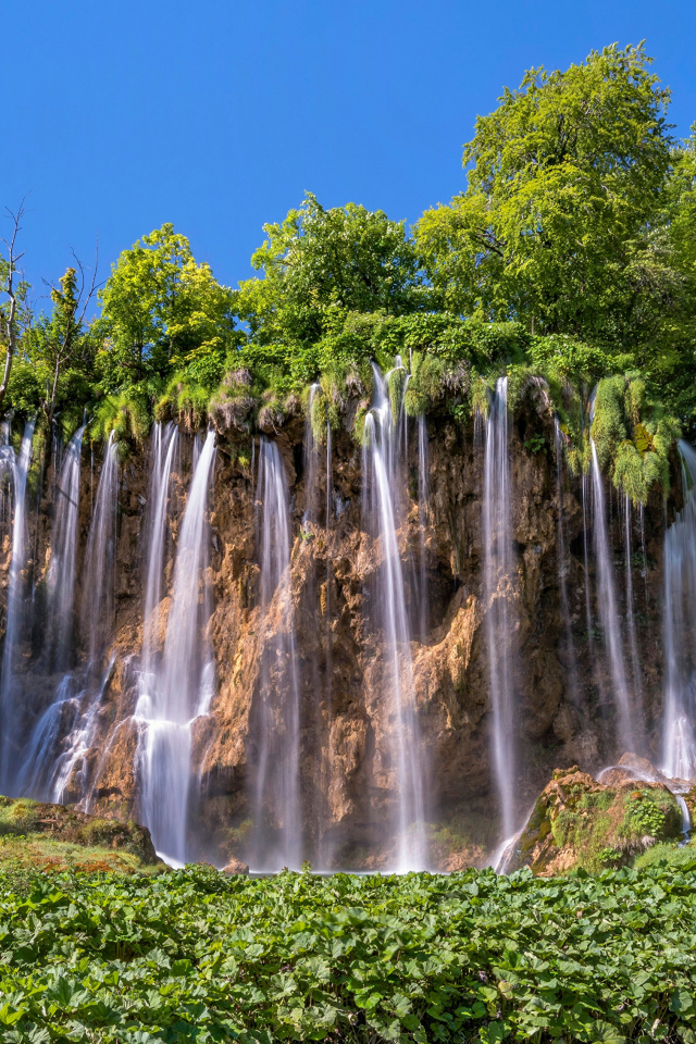 Красивый водопад стекает со склона с зелеными деревьями 