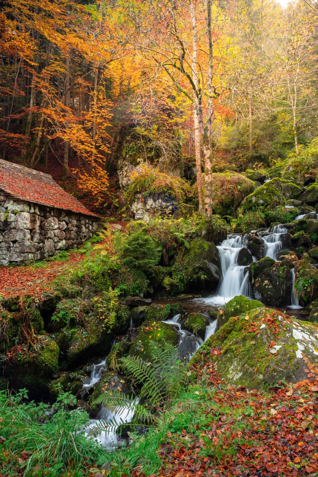 Старый каменный дом в осеннем парке с водопадом