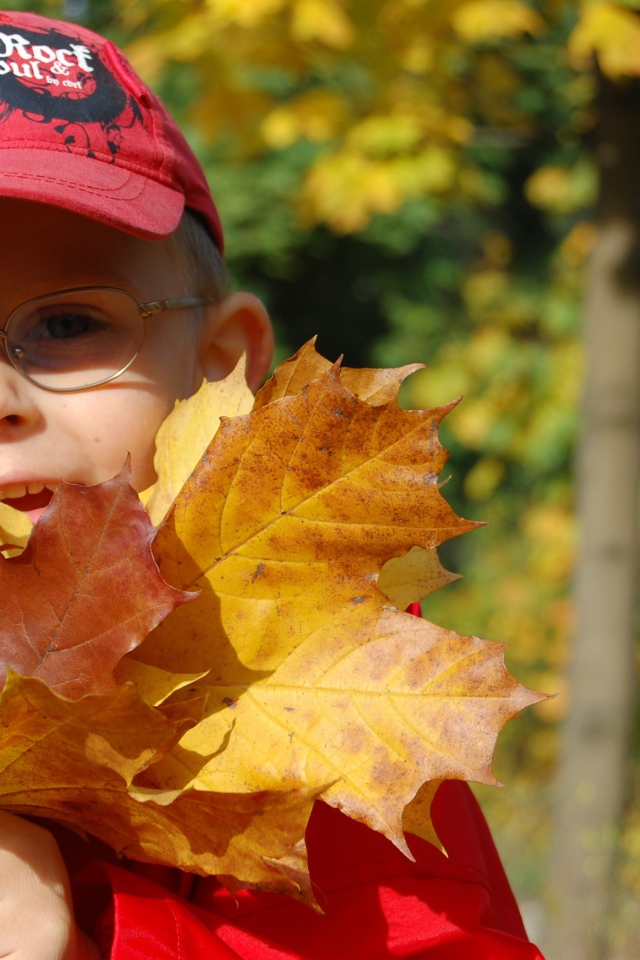 Мальчик в красной кепке с листьями в руках 