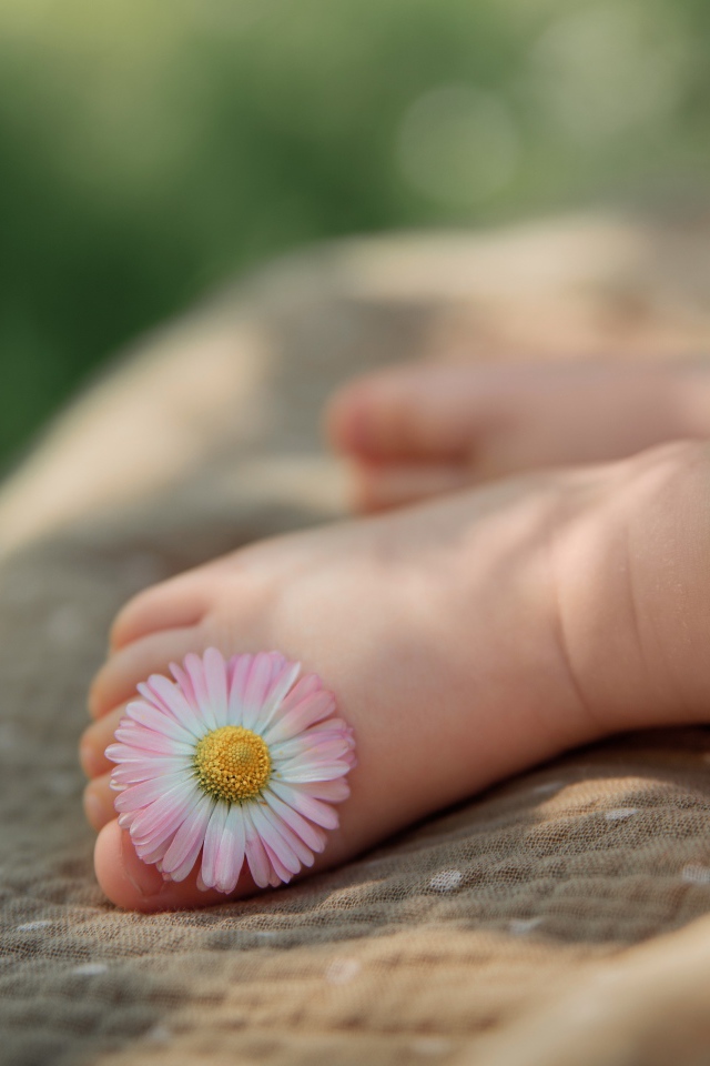 Нога ребенка с цветком маргаритки