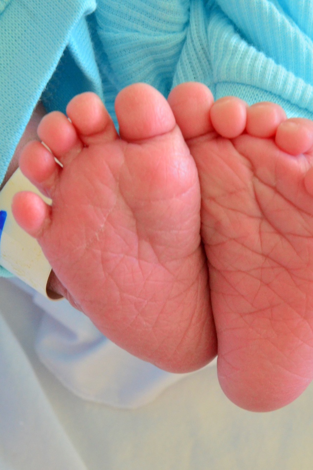 Ноги маленького ребенка крупным планом