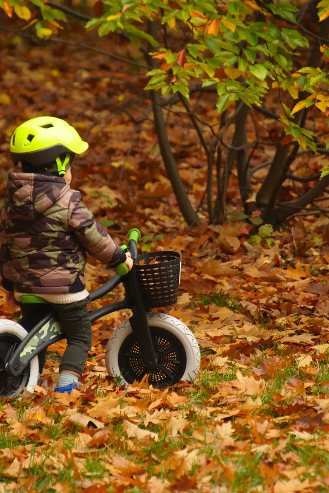 Маленький мальчик на велосипеде в осеннем парке 